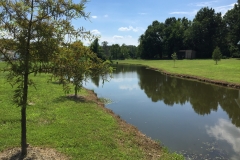 mvprentals-cedar-creek-outside