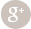 Google+